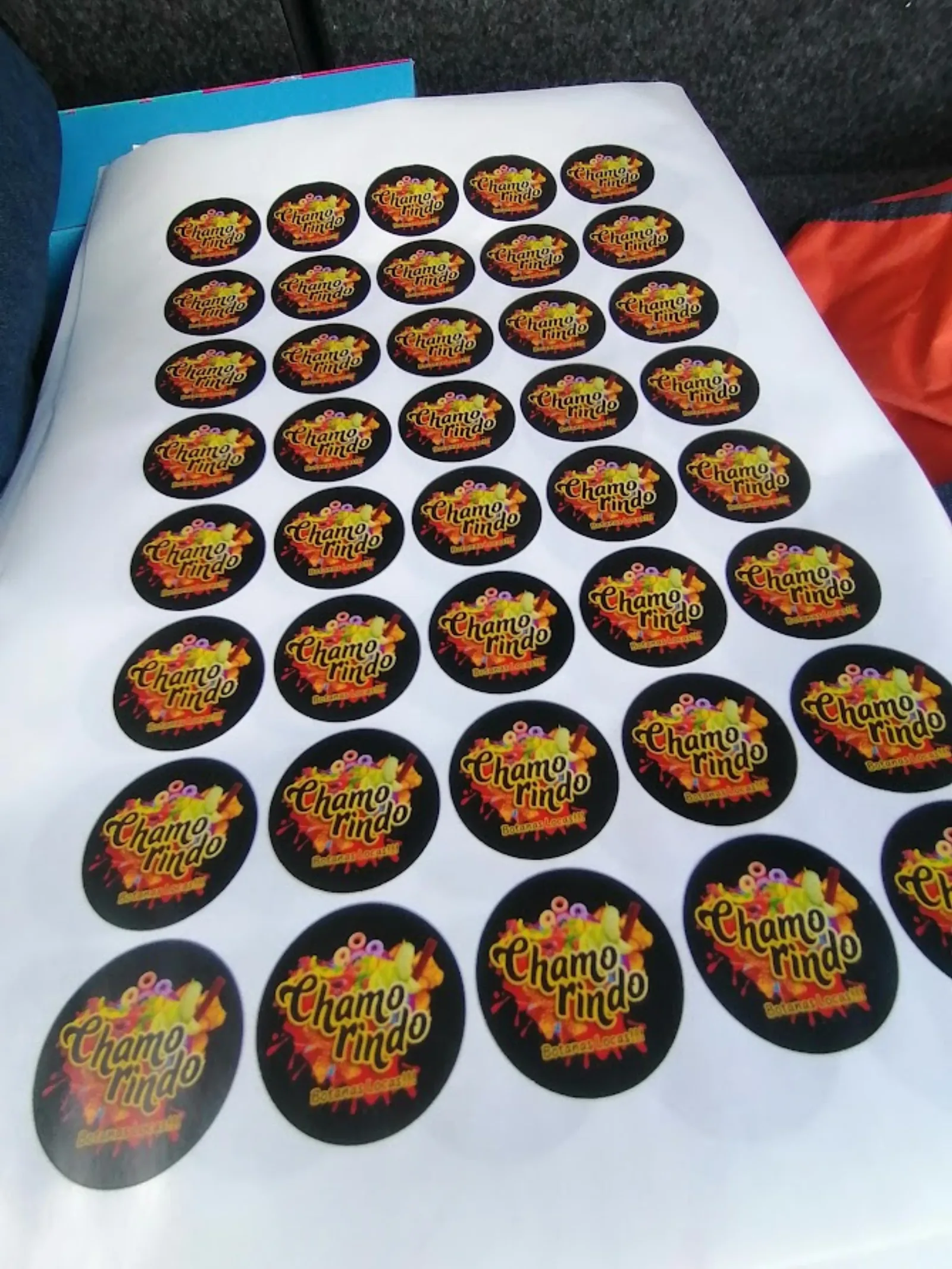 Trabajo de Lona Rotulate 6